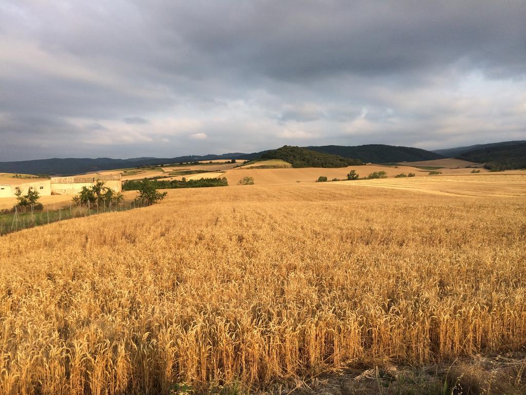 Mihotelito Viloria de Rioja 외부 사진